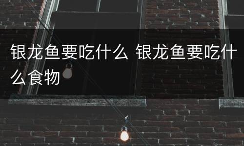 银龙鱼要吃什么 银龙鱼要吃什么食物