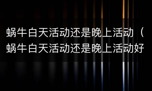 蜗牛白天活动还是晚上活动（蜗牛白天活动还是晚上活动好）