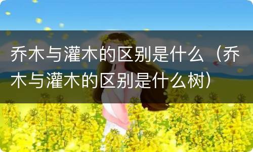 乔木与灌木的区别是什么（乔木与灌木的区别是什么树）