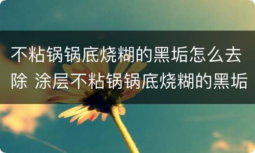 不粘锅锅底烧糊的黑垢怎么去除 涂层不粘锅锅底烧糊的黑垢怎么去除