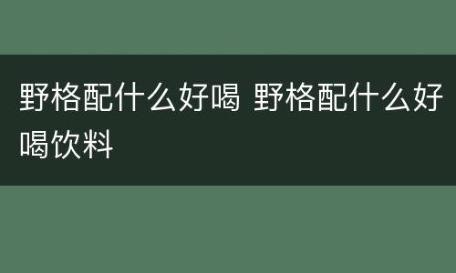 野格配什么好喝 野格配什么好喝饮料