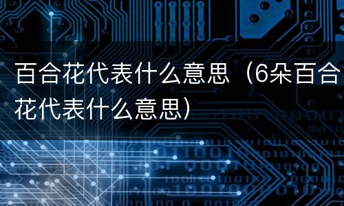 百合花代表什么意思（6朵百合花代表什么意思）