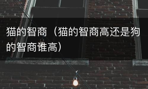 猫的智商（猫的智商高还是狗的智商谁高）
