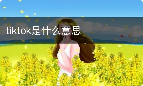 tiktok是什么意思