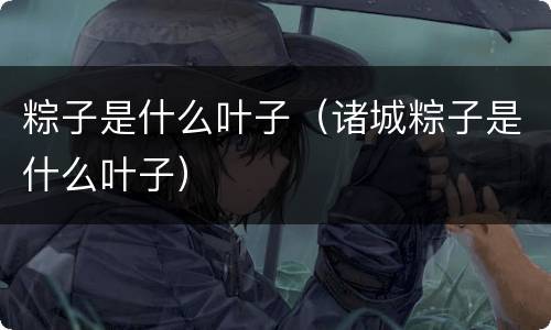粽子是什么叶子（诸城粽子是什么叶子）