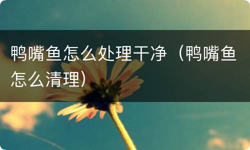 鸭嘴鱼怎么处理干净（鸭嘴鱼怎么清理）