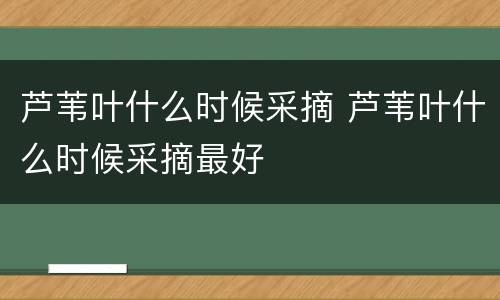 芦苇叶什么时候采摘 芦苇叶什么时候采摘最好