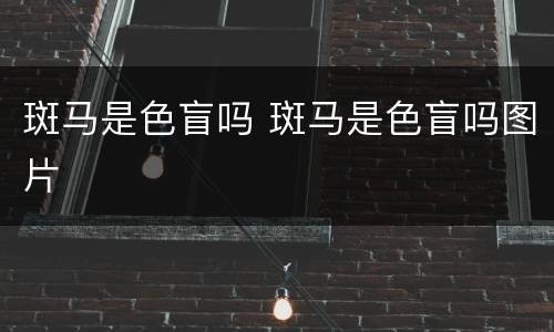 斑马是色盲吗 斑马是色盲吗图片
