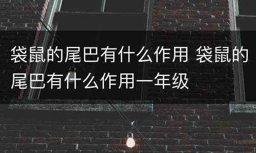 袋鼠的尾巴有什么作用 袋鼠的尾巴有什么作用一年级