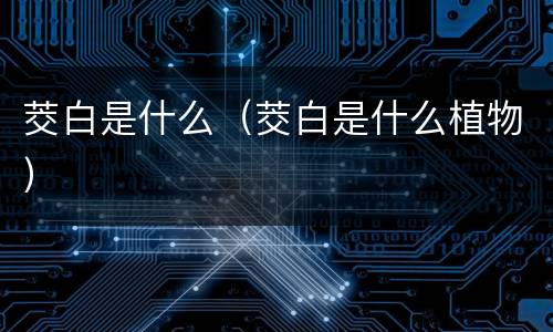 茭白是什么（茭白是什么植物）