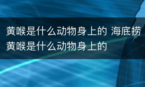 黄喉是什么动物身上的 海底捞黄喉是什么动物身上的