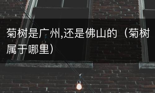 菊树是广州,还是佛山的（菊树属于哪里）