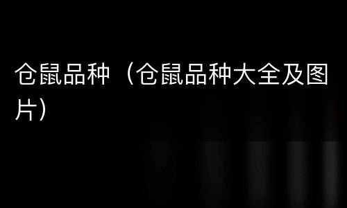 仓鼠品种（仓鼠品种大全及图片）